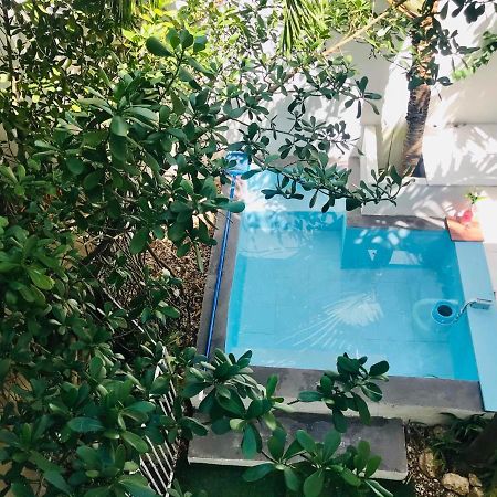 Cozy Tiny Studio Acasadialexplayadelcarmen Плая-дель-Кармен Экстерьер фото
