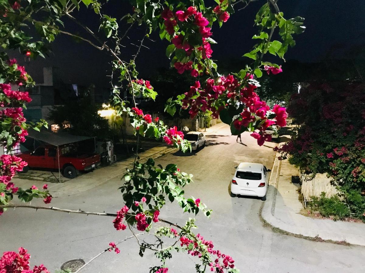 Cozy Tiny Studio Acasadialexplayadelcarmen Плая-дель-Кармен Экстерьер фото