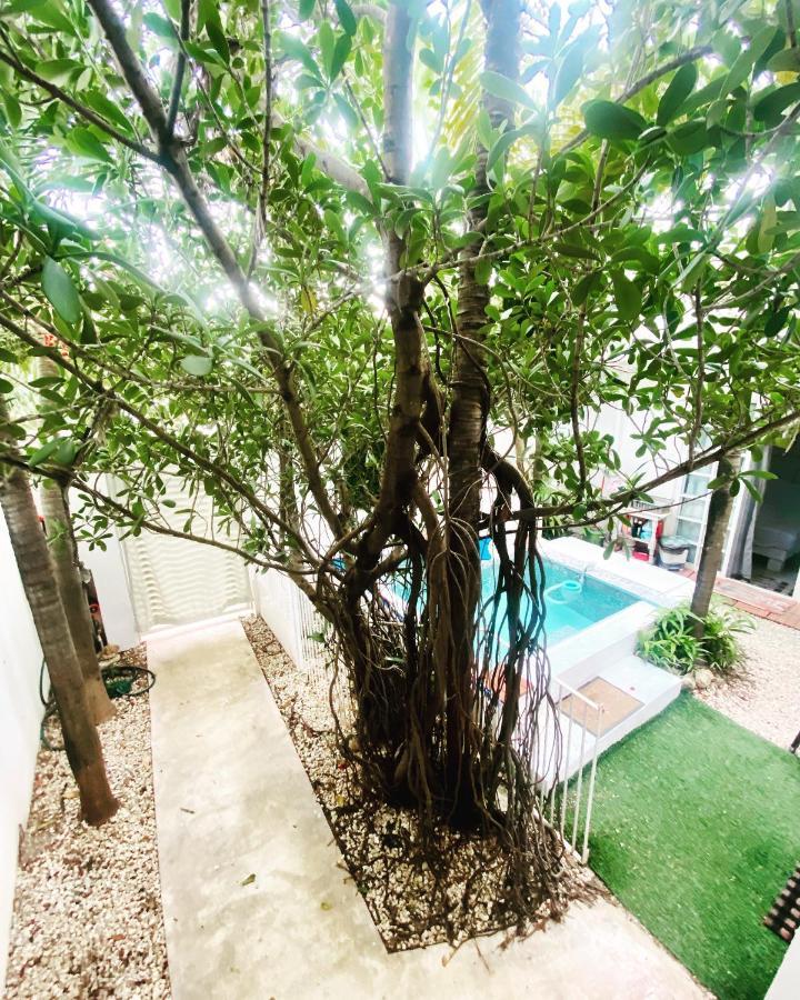 Cozy Tiny Studio Acasadialexplayadelcarmen Плая-дель-Кармен Экстерьер фото