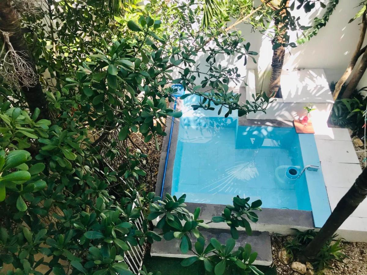 Cozy Tiny Studio Acasadialexplayadelcarmen Плая-дель-Кармен Экстерьер фото